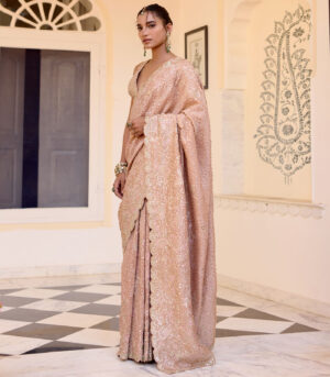 Caramel Taupe Tissue Saree Set