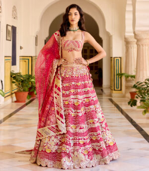 Cut Ruby Organza Lehenga Set