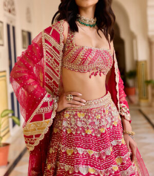 Cut Ruby Organza Lehenga Set