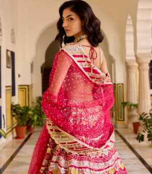 Cut Ruby Organza Lehenga Set