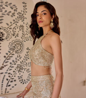 Frost Champagne Tissue Fish Cut Lehenga