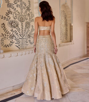 Frost Champagne Tissue Fish Cut Lehenga