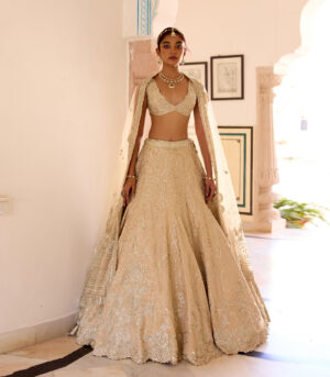 Frost Champagne Jaal Embroidered Lehenga Set