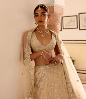 Frost Champagne Jaal Embroidered Lehenga Set