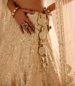 Frost Champagne Jaal Embroidered Lehenga Set