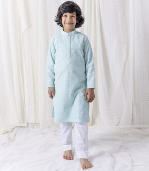 Ice Blue Sequin And Thread Work Kurta Set