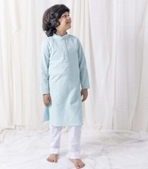 Ice Blue Sequin And Thread Work Kurta Set