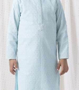 Ice Blue Sequin And Thread Work Kurta Set