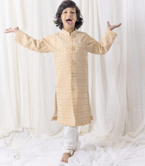 Thread And Sequence Work Sherwani