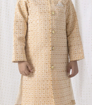 Thread And Sequence Work Sherwani
