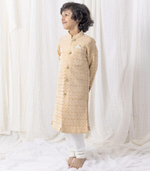 Thread And Sequence Work Sherwani