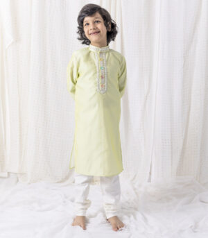 Pastel Green Kurta In Organza With Cotton Silk Pants