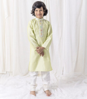 Pastel Green Kurta In Organza With Cotton Silk Pants
