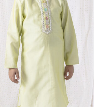 Pastel Green Kurta In Organza With Cotton Silk Pants
