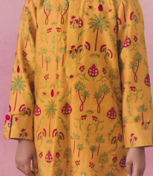 Haldi kurta Set