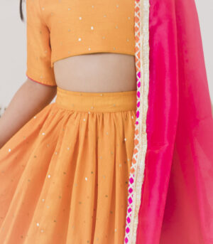 The Lehenga Set