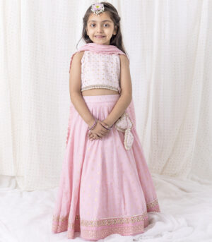 Pastel Pink Lehnga