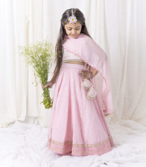 Pastel Pink Lehnga