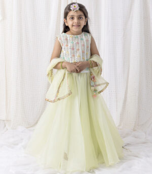 Organza Lehnga And Top