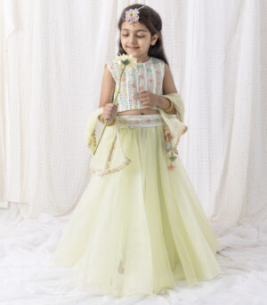 Organza Lehnga And Top
