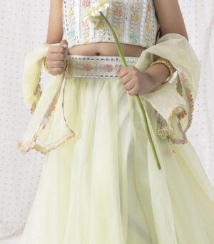 Organza Lehnga And Top