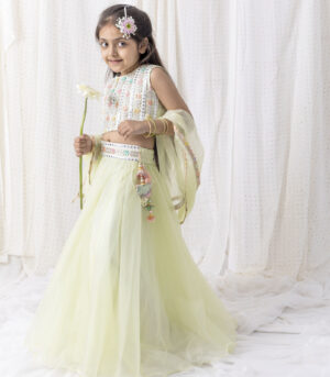 Organza Lehnga And Top