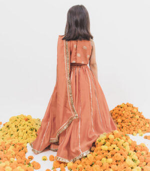 Orange Lehenga Set