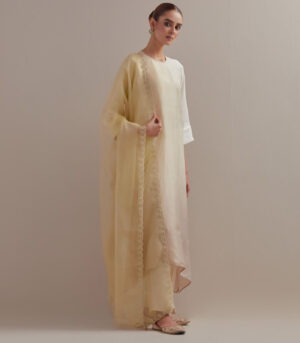 Ivory Ombre silk kurta silk pants