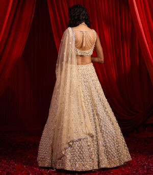SURVANA ANVAYA LEHENGA SET
