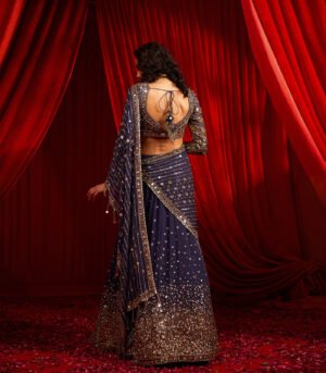 NEEL KAMAL LEHNGA SAREE SET