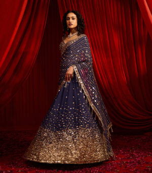 NEEL KAMAL LEHNGA SAREE SET