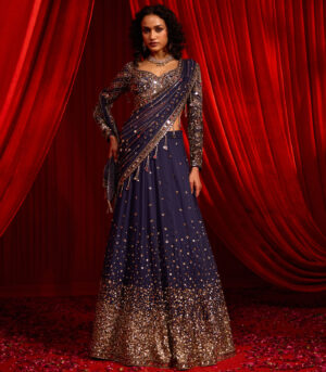 NEEL KAMAL LEHNGA SAREE SET