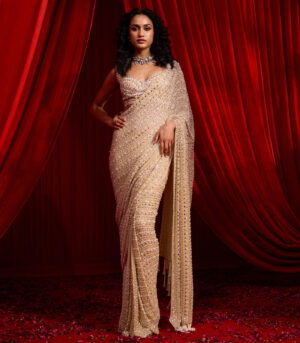 ANVAYA NAKASHI SAREE