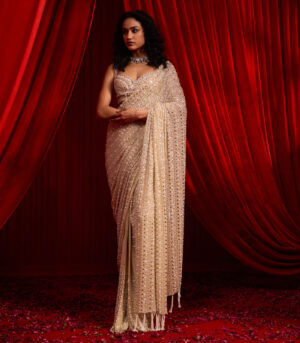 ANVAYA NAKASHI SAREE