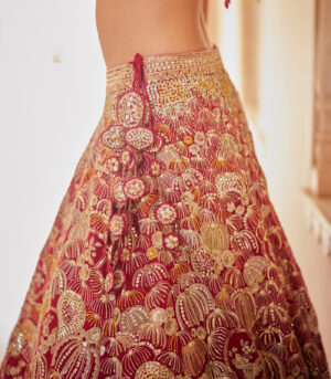 Cut Ruby Trail Lehenga Set