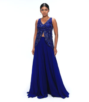 Sapphire Blue Viscose Organza Sharara Set