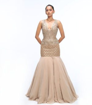 Champagne Gold Georgette Cutdana Gown