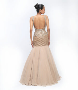 Champagne Gold Georgette Cutdana Gown