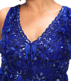 Sapphire Blue Viscose Organza Sharara Set