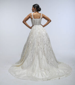 Ivory Pure Silk Organza Cutdana Gown