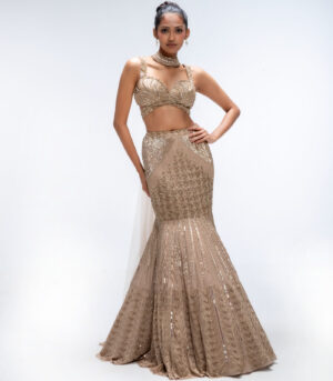 Gold Mirage Pure Silk Organza Embellished Fish-Cut Lehenga Set