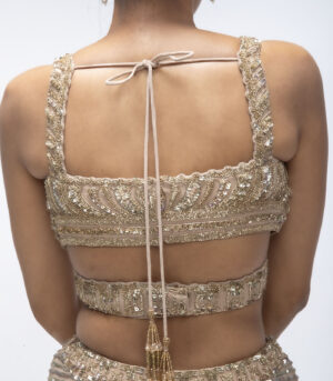 Gold Mirage Pure Silk Organza Embellished Fish-Cut Lehenga Set