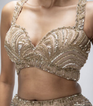 Gold Mirage Pure Silk Organza Embellished Fish-Cut Lehenga Set