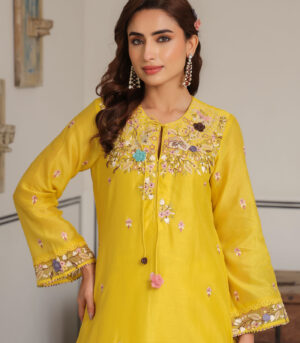 Gulzar Choker Neck Kurta Set