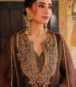 Ahista Brown Pakhi Yoke Pheran Long Kurta Set