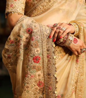 Ahista Ivory Mayur Applique Saree Set