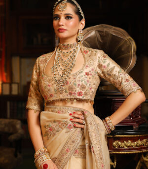 Ahista Ivory Mayur Applique Saree Set