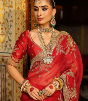 Ahista Red Zardosi Saree Set