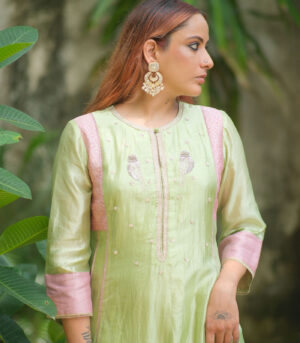 Silk aline kurta w bird kurta set