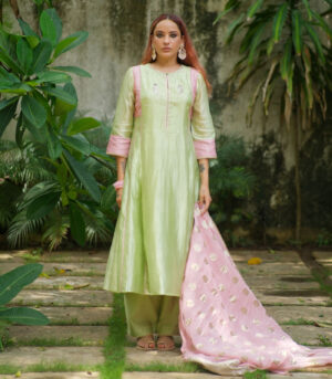 Silk aline kurta w bird kurta set